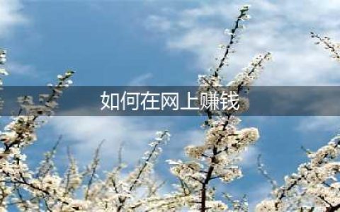 盘点几个靠谱的网络赚钱方法(如何在网上赚钱)