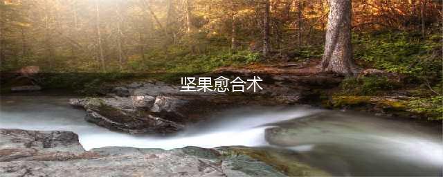 植物大战僵尸坚果愈合术使用方法