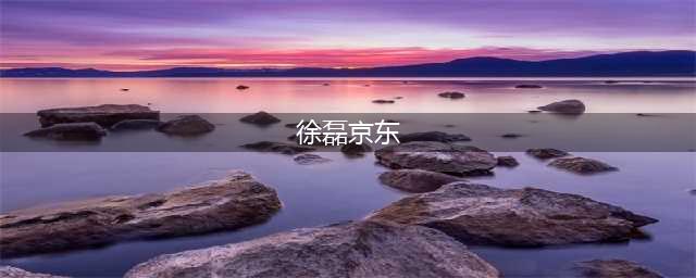 不能控制京东，我宁愿卖掉：刘强东放心把京东交给徐雷吗？(徐磊京东)