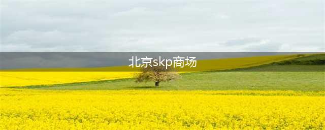 神话般的商场——北京SKP(北京skp商场)