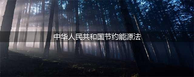 中华人民共和国节约能源法(中华人民共和国节约能源法)