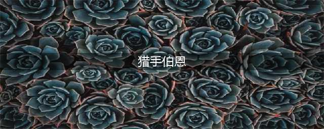 DNF协力攻击任务在哪接怎么做 NPC猎手伯恩位置坐标(猎手伯恩)