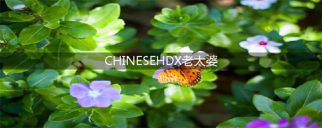 A Chinese female student stabbed to death in the UK(CHINESEHDX老太婆)
