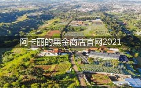 《LOL》阿卡丽的黑金商店官网入口怎么进 2021阿卡丽黑金商店官网入口分享(阿卡丽的黑金商店官网2021)