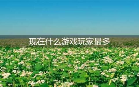 全球游戏销量排行榜前十名2022 十大全球销量最高的游戏有哪些(现在什么游戏玩家最多)