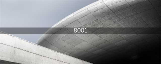 8001数字神3，雁南飞(8001)