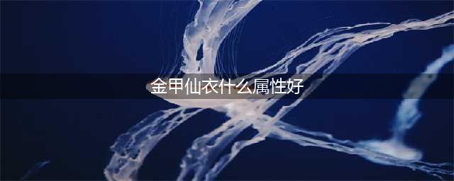 《梦幻西游》手游金甲仙衣怎么样 法宝属性分析(金甲仙衣什么属性好)