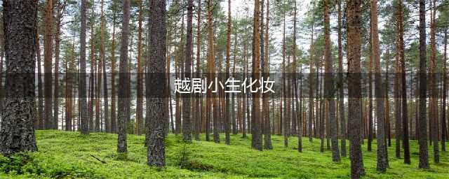 绝对干货：越剧小生化妆步骤和要领(越剧小生化妆)