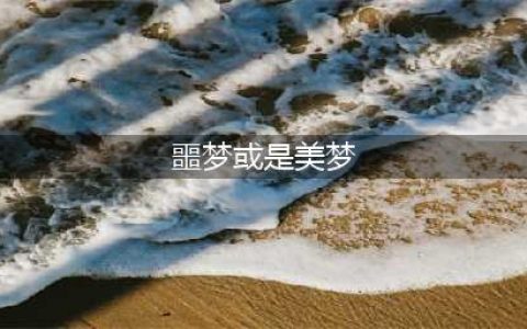 哈利波特噩梦或是美梦上床睡觉线索在哪 10.23不用管哭啼的曼德拉草/噩梦或是美梦拼图攻略(噩梦或是美梦)