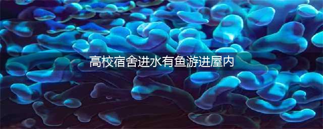 武汉一高校宿舍进水有鱼游进屋内(高校宿舍进水有鱼游进屋内)
