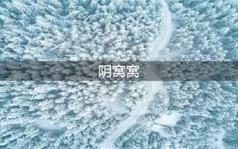 毛窝窝—只有农村连阴天才出现的一种蘑菇，鲜香味美，儿时的味道，千金不换(阴窝窝)