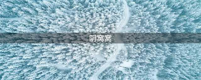毛窝窝—只有农村连阴天才出现的一种蘑菇，鲜香味美，儿时的味道，千金不换(阴窝窝)