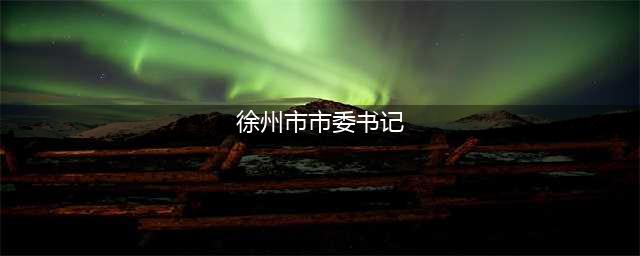 宋乐伟任徐州市委书记(徐州市市委书记)