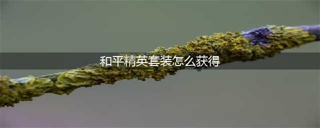 和平精英套装怎么获得