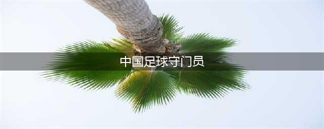 盘点中国足球（一），现役五大门将不知是否符合您心目中的标准？(中国足球守门员)