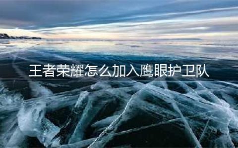 《王者荣耀》如何加入鹰眼护卫队 加入鹰眼护卫队方法分享(王者荣耀怎么加入鹰眼护卫队)