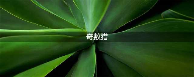 《炉石传说》通灵学院狂野奇数猎怎么玩 通灵学院狂野奇数猎玩法介绍(奇数猎)