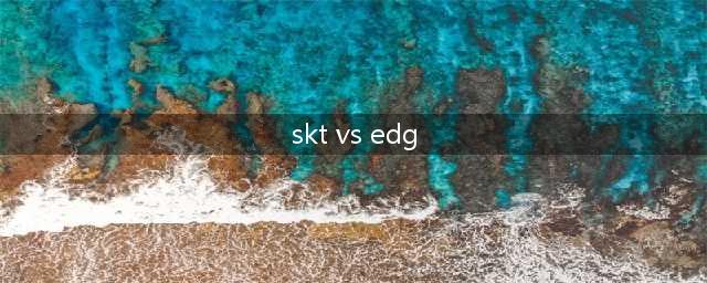 《LOL》S7世界总决赛小组赛SKT vs EDG视频回放(skt vs edg)