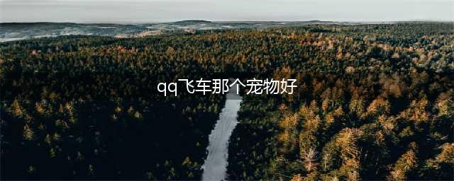 《QQ飞车手游》宠物哪个更厉害 宠物最新强度排行榜一览(qq飞车那个宠物好)