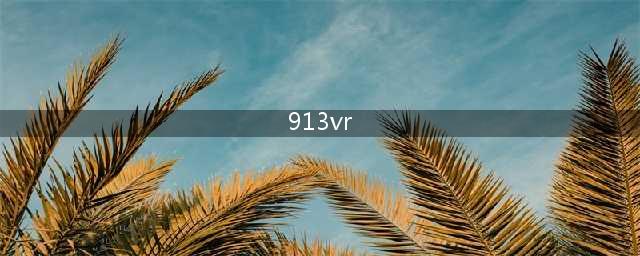 三年风雨同行，感恩有你 913VR品牌升级93913发布会在京举办(913vr)