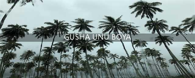 《原神》gushaunuboya什么意思 gushaunuboya图文教程