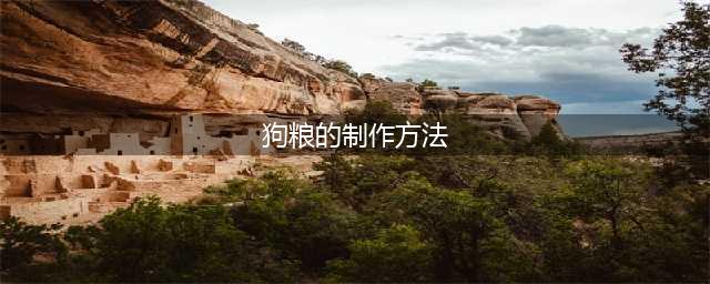 自制狗粮的25种方法(狗粮的制作方法)