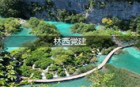 林西党建链 “三激活” 教育链“三结合”(林西党建)