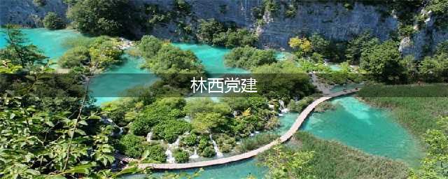 林西党建链 “三激活” 教育链“三结合”(林西党建)