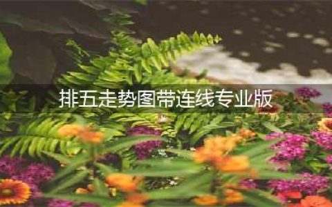 排列五，排列三，精准预测-排列五-预测图，走势，排位定位直码，仅供参考(排五走势图带连线专业版)