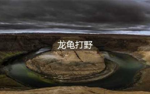 《LOL》11.5龙龟打野怎么玩 龙龟打野玩法上分攻略(龙龟打野)