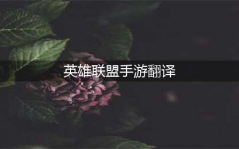 《英雄联盟手游》中文翻译 基础界面中英对照翻译图汇总(英雄联盟手游翻译)