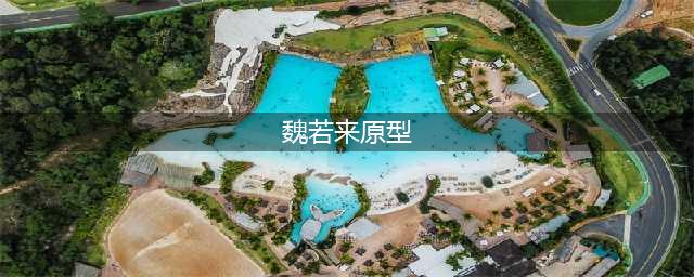 追风者魏若来原型：意想不到的英雄事迹！(魏若来原型)