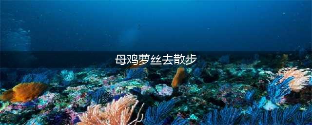 陪读3年的绘本妈妈告诉你，这才是《母鸡萝丝去散步》的正确打开方式！(母鸡萝丝去散步)