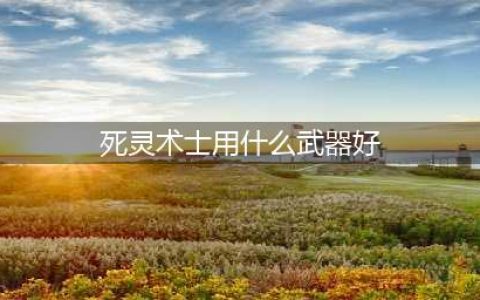 《DNF》死灵术士武器遴选属性哪个好 武器遴选属性选择攻略(死灵术士用什么武器好)