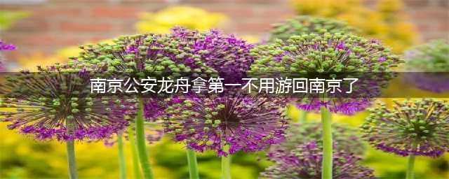 南京公安龙舟队游回南京？网友催他们游长江，连夜改名笑不活了(南京公安龙舟拿第一不用游回南京了)