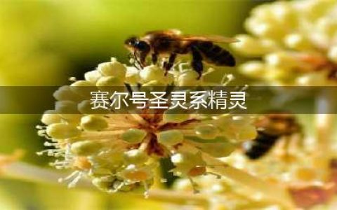 圣灵系之王 《赛尔号超级英雄》谱尼大曝光(赛尔号圣灵系精灵)