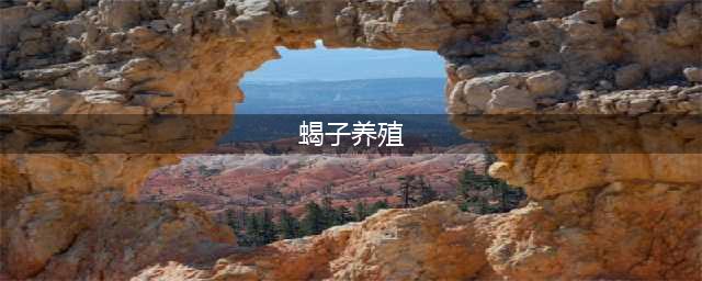 蝎子为什么难养？只因蝎子养殖行业一直无法攻克这一难题(蝎子养殖)