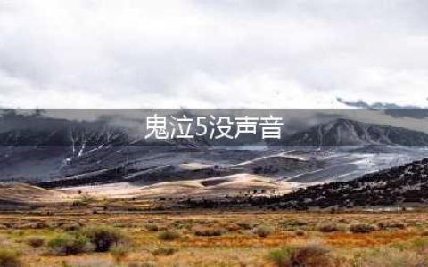 《鬼泣5》黑屏有声音怎么解决 黑屏有声音解决技巧(鬼泣5没声音)