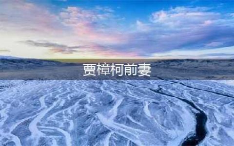 2009年，贾樟柯为何与前妻离婚？后来娶了仅次巩俐的女演员赵涛(贾樟柯前妻)