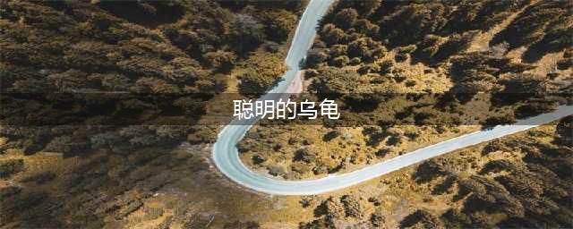 绘本故事《聪明的乌龟》(聪明的乌龟)