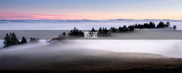 大理州委原书记陈坚落马，任内发生截留抗疫口罩被问责事件(陈坚)