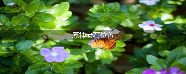 《原神》老石位置在哪