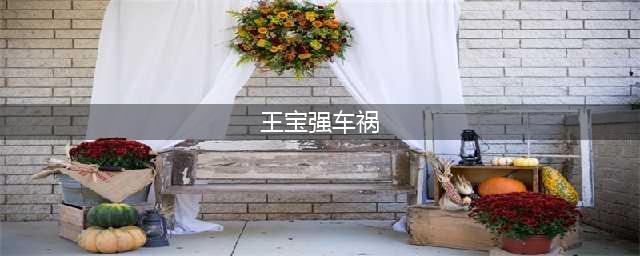 王宝强生日当天遭车祸，马蓉却失联20小时，香港两位大佬道出真相(王宝强车祸)