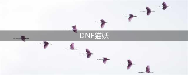 《DNF》手游嗜血猫妖怎么过 嗜血猫妖通关攻略(DNF猫妖)