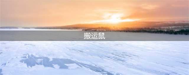 《搬运鼠》道具介绍