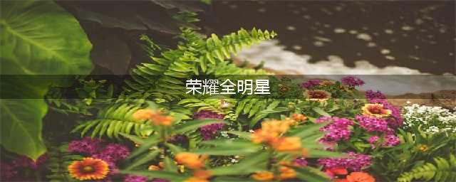荣耀全明星职业推荐：最强哪个职业好攻略(荣耀全明星)