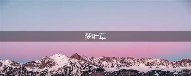 《魔兽世界》怀旧服梦叶草怎么样 梦叶草详细介绍