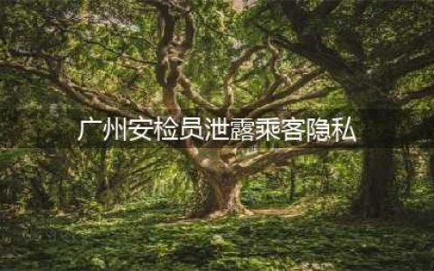 广州一安检员泄露乘客隐私：越清纯的女人包内“夫妻用品”越全(广州安检员泄露乘客隐私)