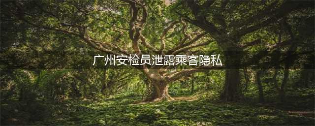 广州一安检员泄露乘客隐私：越清纯的女人包内“夫妻用品”越全(广州安检员泄露乘客隐私)
