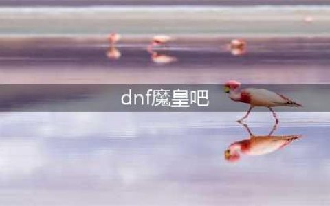 《DNF》2021魔皇护石符文如何选 魔皇护石符文选择攻略(dnf魔皇吧)